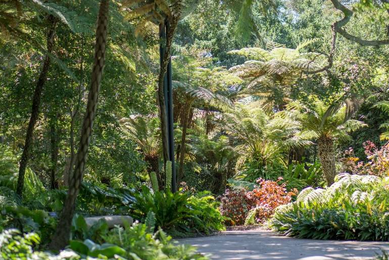 Lotusland Santa Barbara Day Trip Discover Nature S Beauty