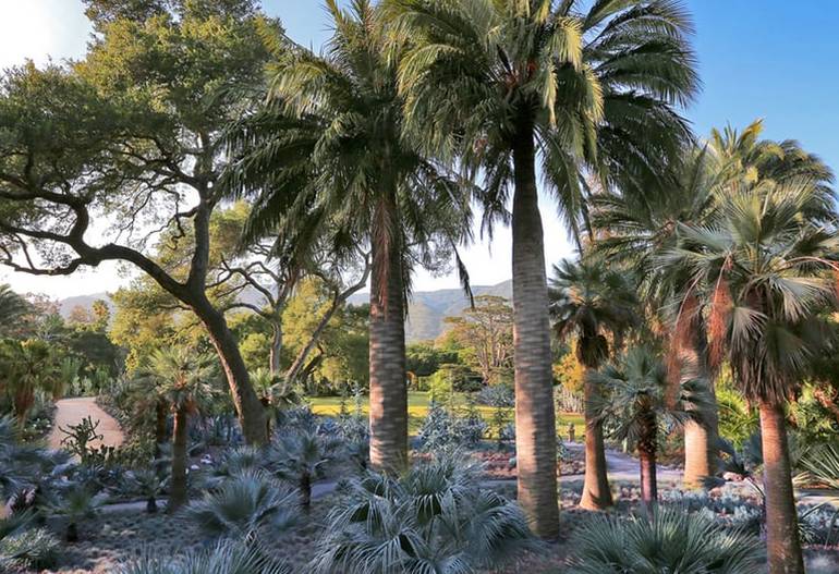 Lotusland Santa Barbara Day Trip Discover Nature's Beauty