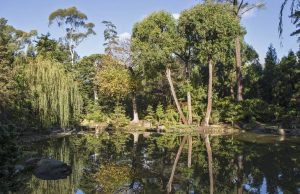 Lotusland Santa Barbara Day Trip Discover Nature's Beauty