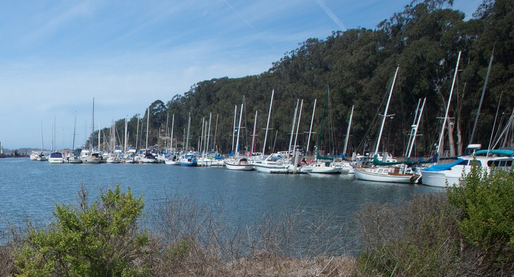 Morro Bay State Park