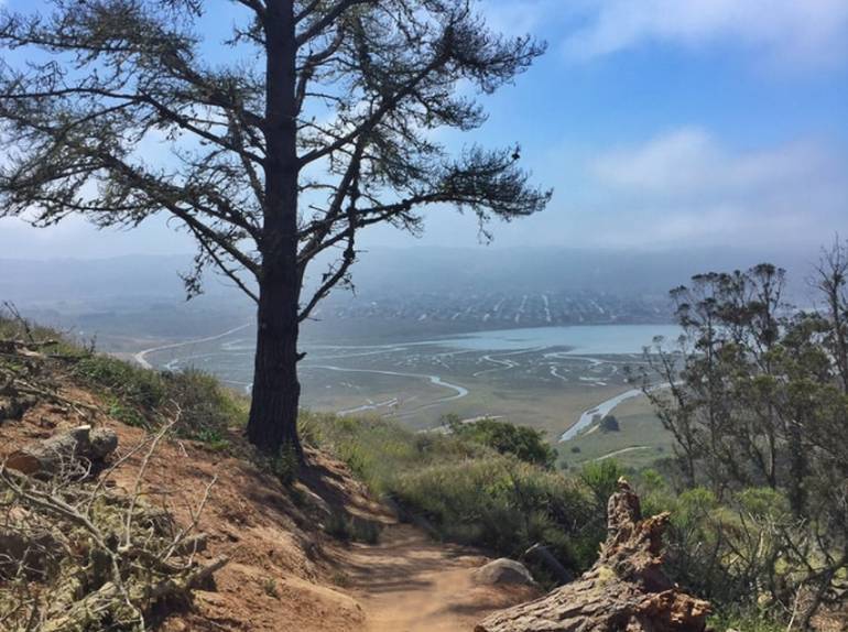 Morro Bay State Park Bay View