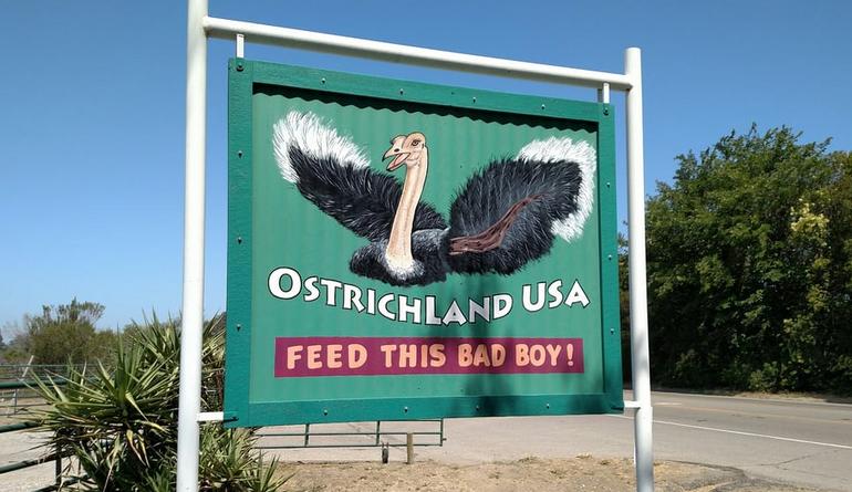 Ostrichland USA Feed This Bad Boy