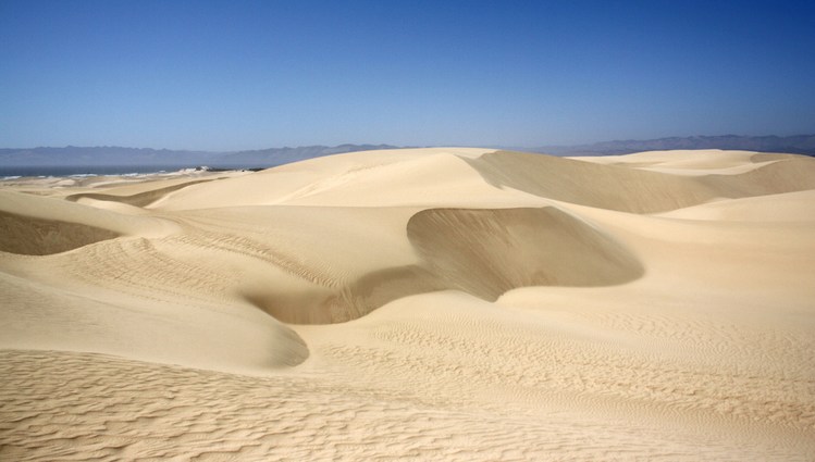 Oceano Dunes Camping Pismo Beach