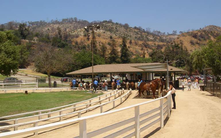 Griffith Park Pony Rides