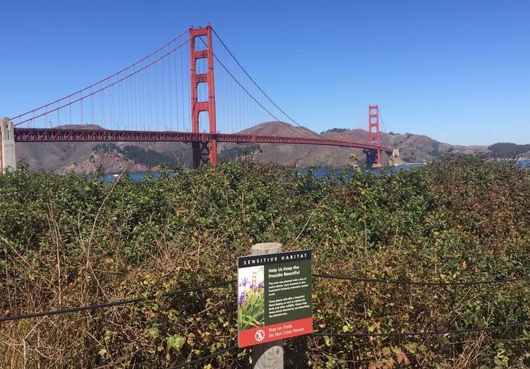 Golden Gate Bridge View from The Presidio