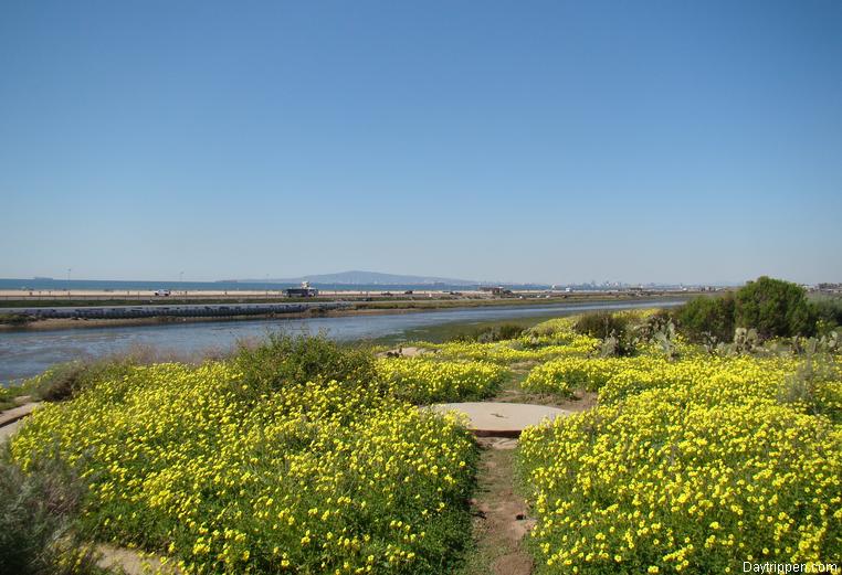 Bolsa Chica Wetlands Huntington Beach