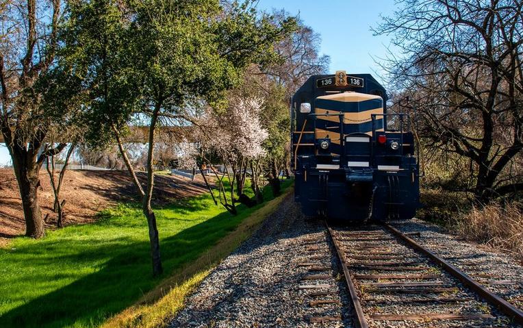 Sacramento River Train