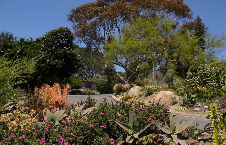 San Diego Botanic Garden Encinitas, California