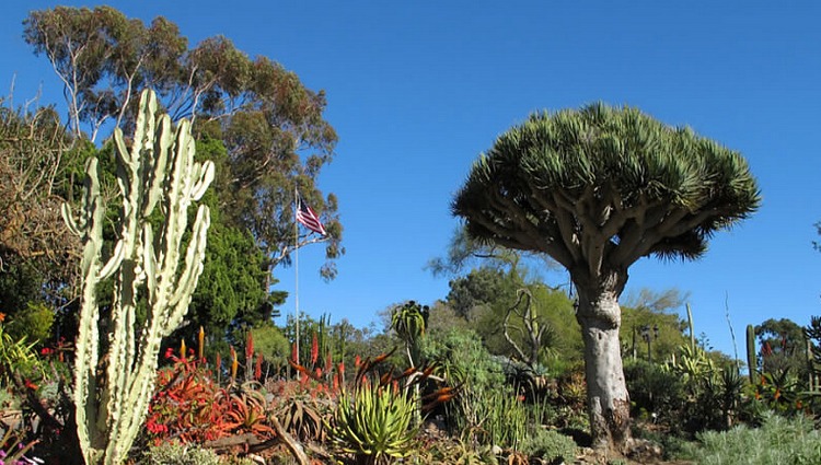 San Diego Botanic Garden Day Trip