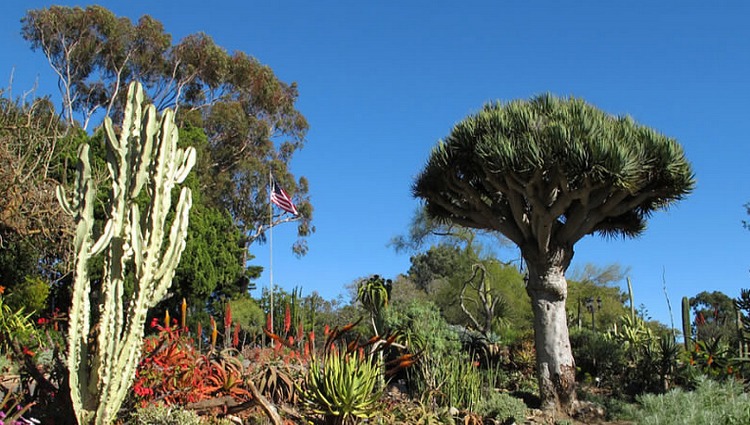 San Diego Botanic Garden