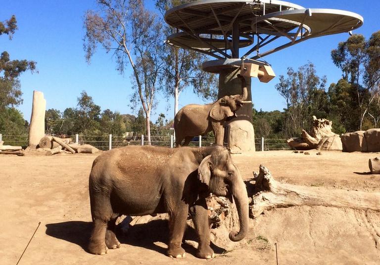 San Diego Zoo 