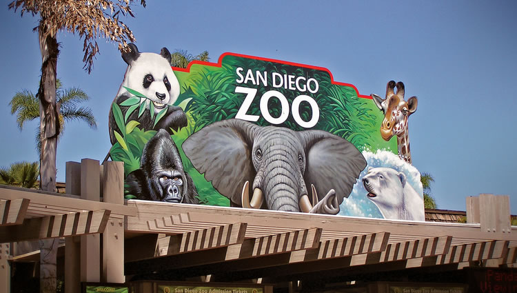 san diego zoo plan routes