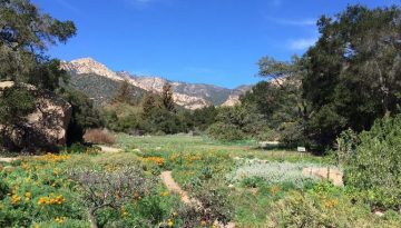 Santa Barbara Botanic Garden Day Trip