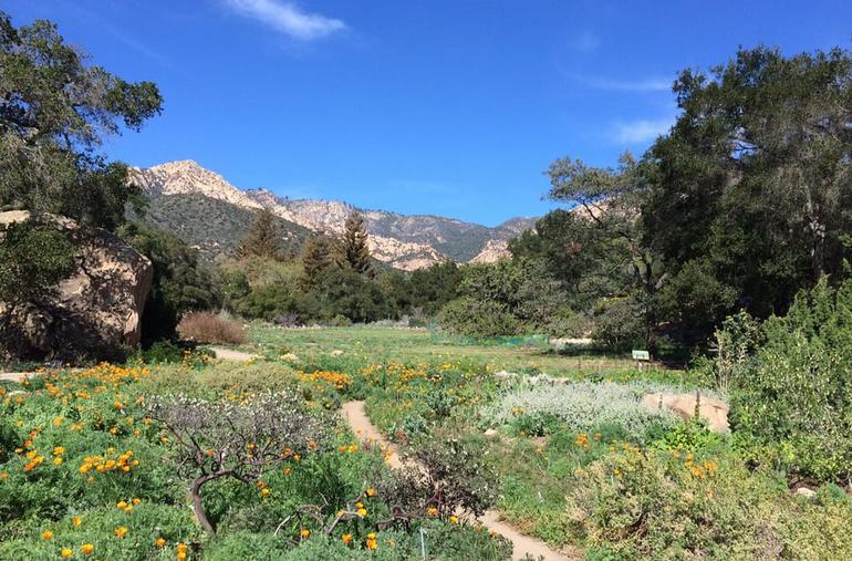 Santa Barbara Botanic Garden Day Trip