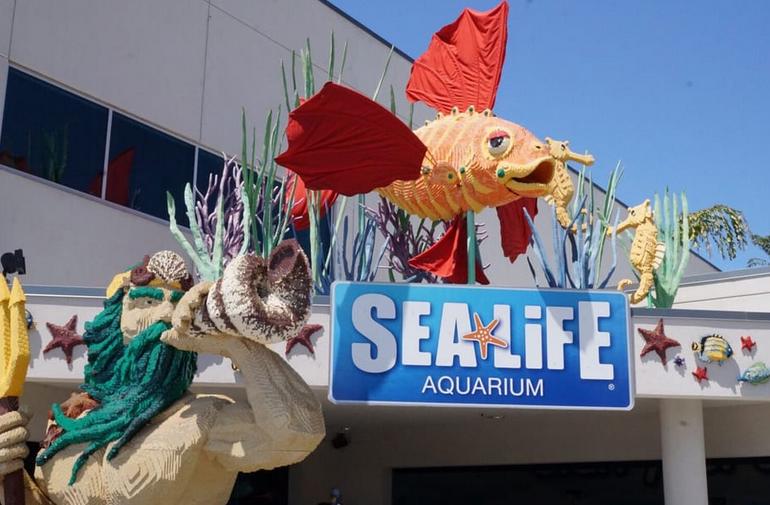 Legoland aquarium hot sale