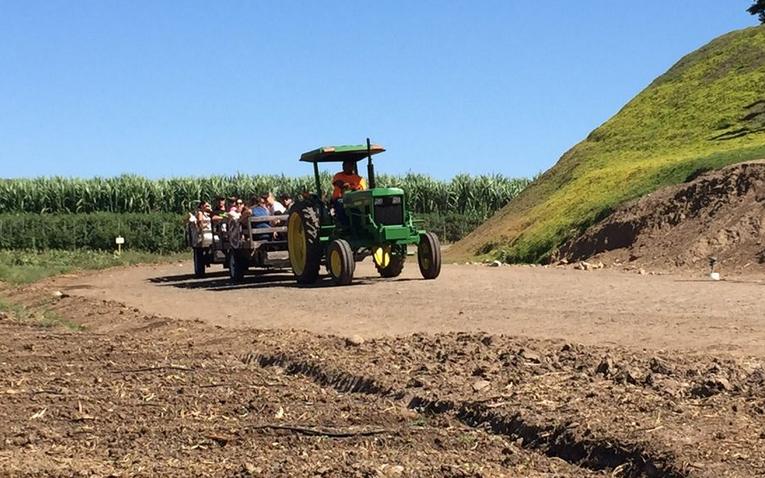 Tanaka Farms U-Pick Tours