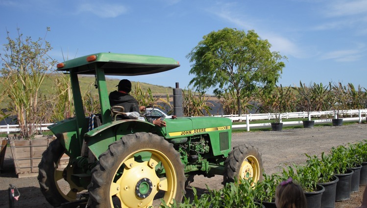 Tanaka Farms U-Pick Tours Irvine Day Trip