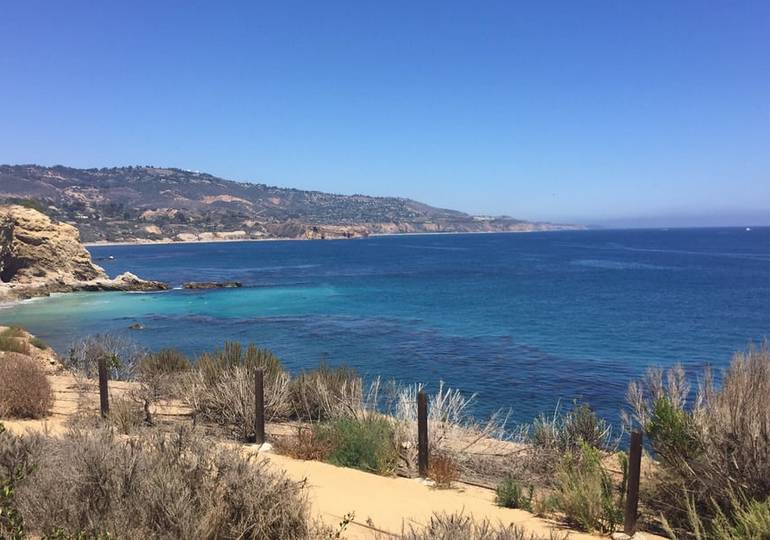 Terranea Resort Whale Watching