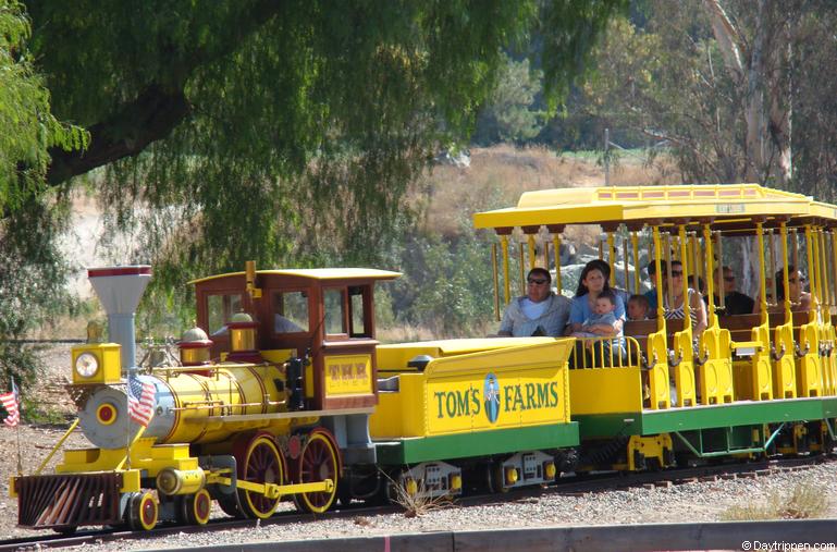 Lake Elsinore 