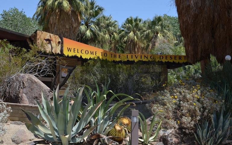 are dogs allowed at woldights at the living desert