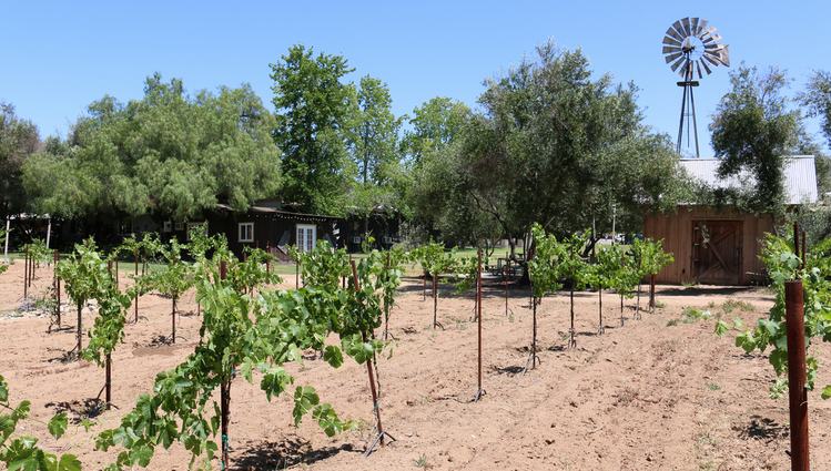 Bernardo Winery San Diego