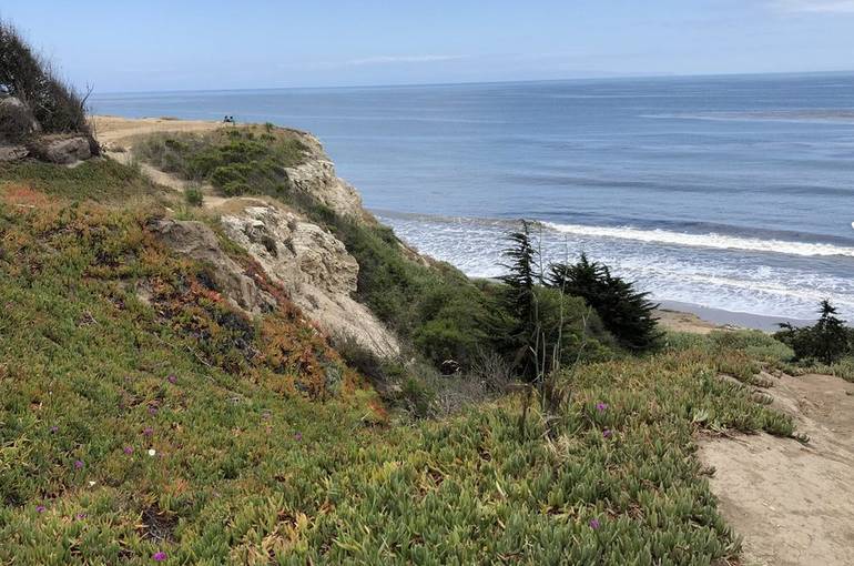 Coronado Butterfly Preserve Goleta California