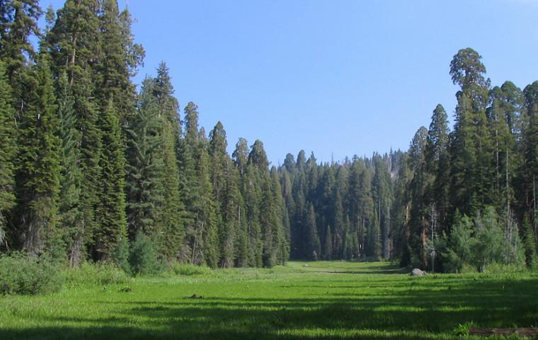 Sequoia-Kings Canyon Park