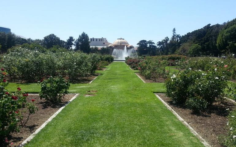 Exposition Park Rose Garden