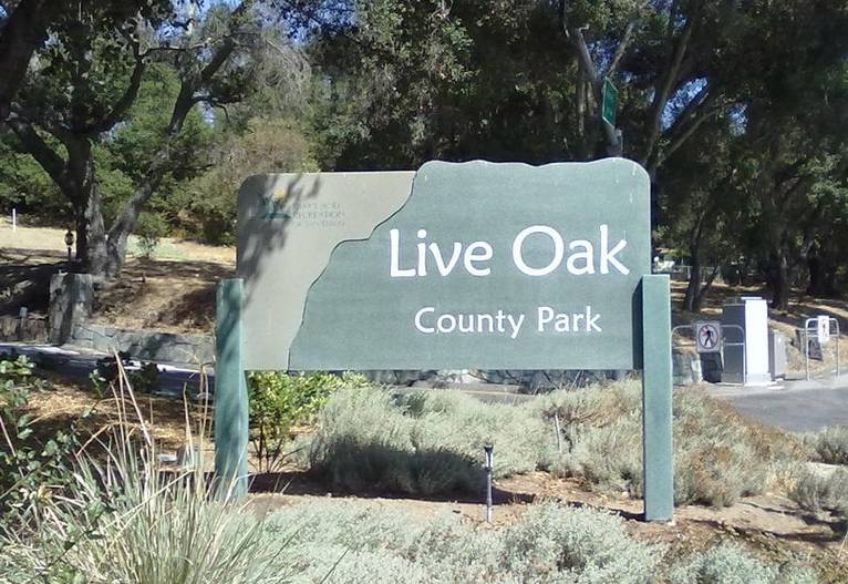 Live Oak County Park Fallbrook California
