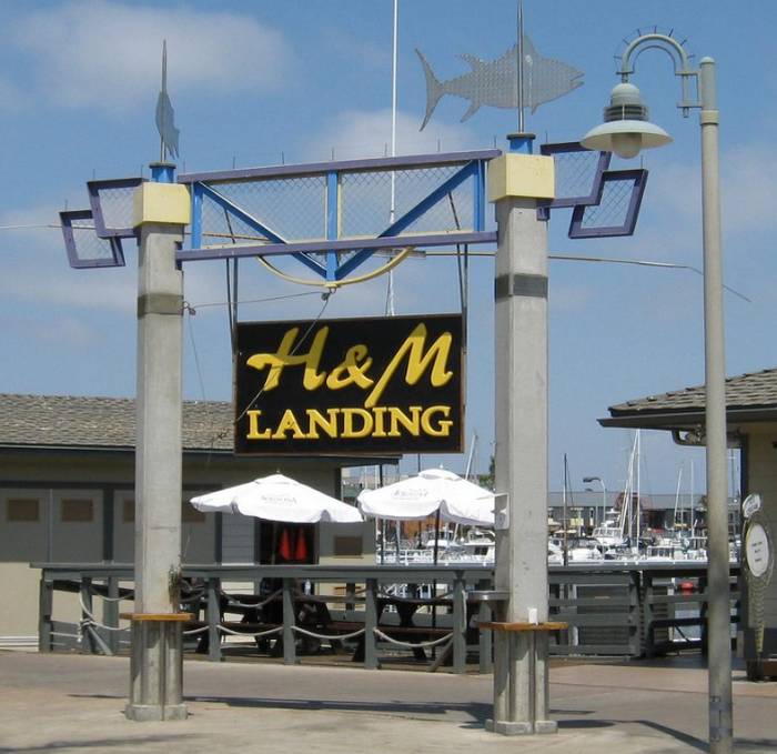 H & M Landing San Diego Whale Watching And Sports Fishing Trips