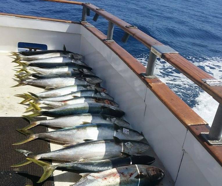 About  Helgren's Sportfishing