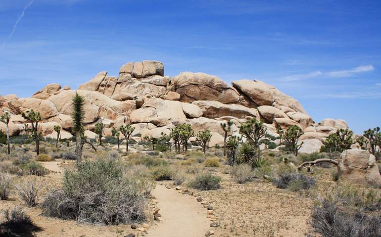 Joshua Tree National Park California