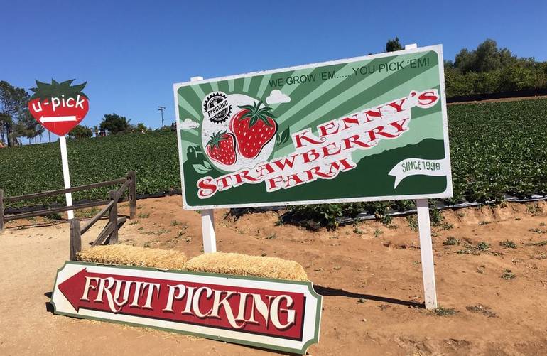 Kenny's Strawberry Farm Fallbrook