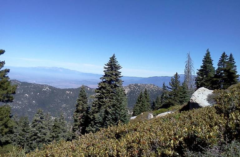 Mount Jacinto State Park