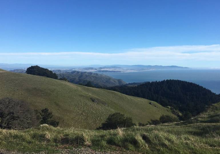 Mount Tamalpais State Park