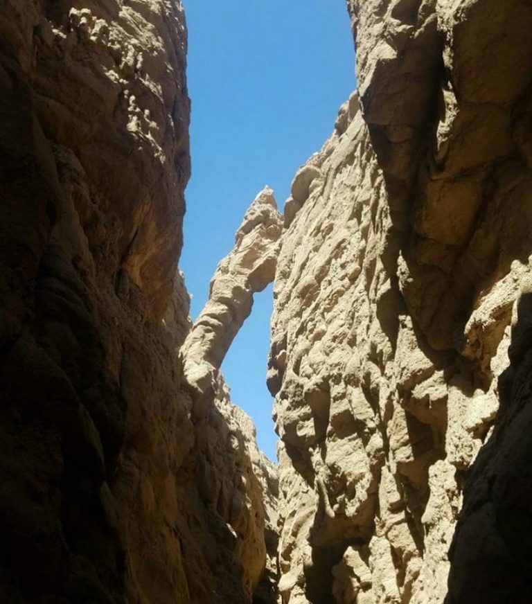 Anza-Borrego Desert State Park Things To Do For A Day