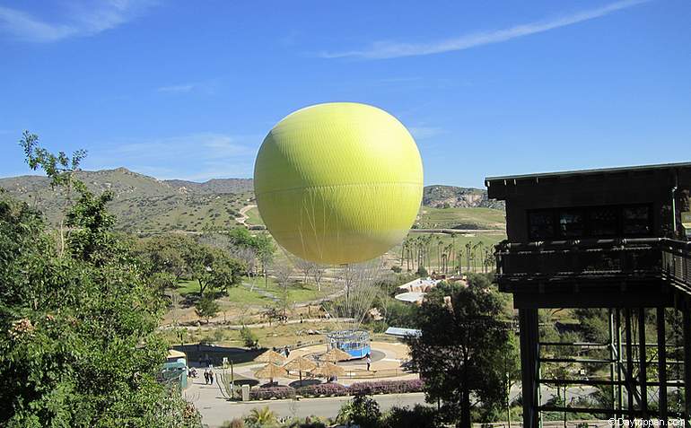 San Diego Safari Park Balloon Ride