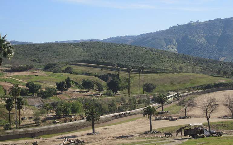 San Diego Safari Park Caravan Tour