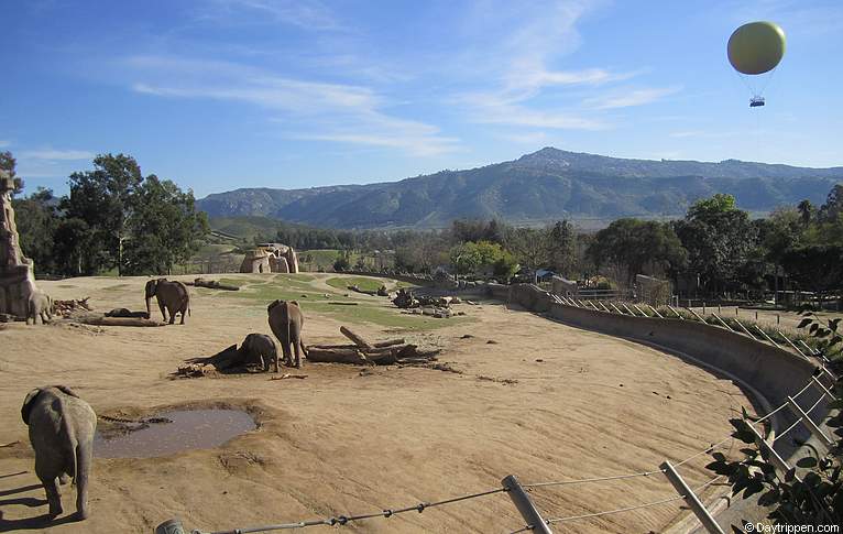 zoo and safari park near me