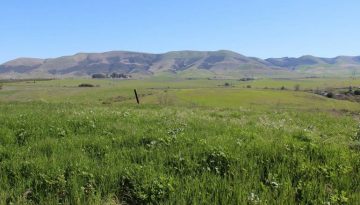 Santa Maria Day Trip California Central Coast