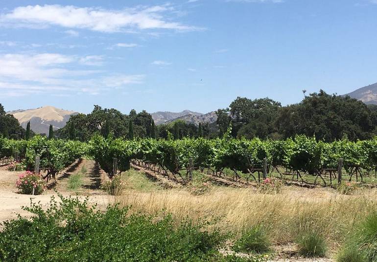 Santa Maria Valley California Central Coast