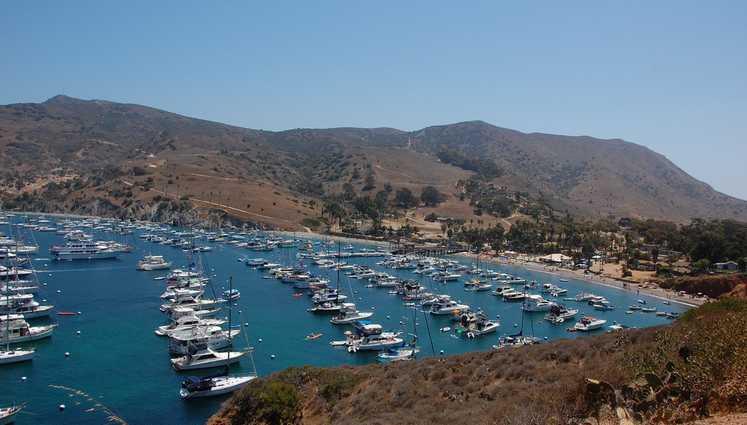 Catalina Island Day Trip