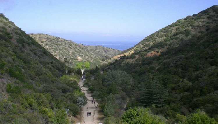 Catalina Island Day Trip