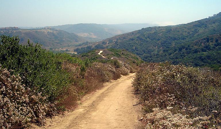 Aliso and Wood Canyon Laguna Beach Day Hike