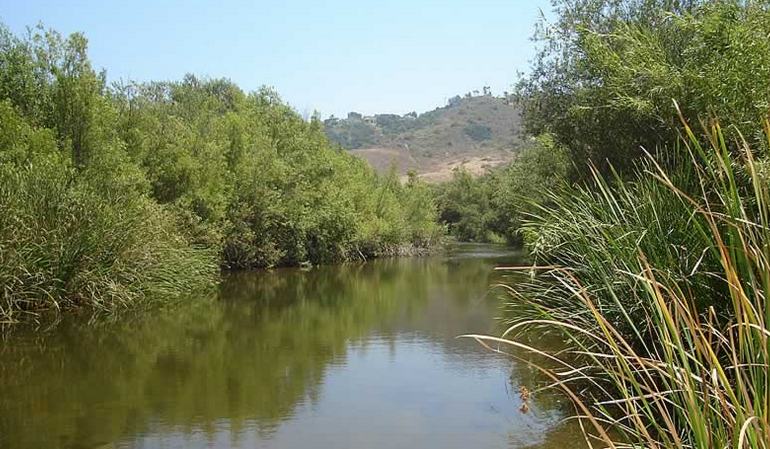 Aliso Creek