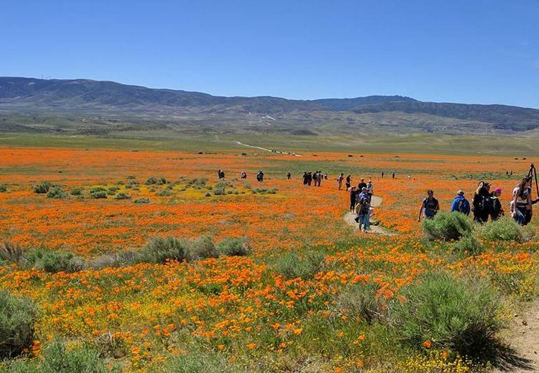 Antelope Valley Day Trip