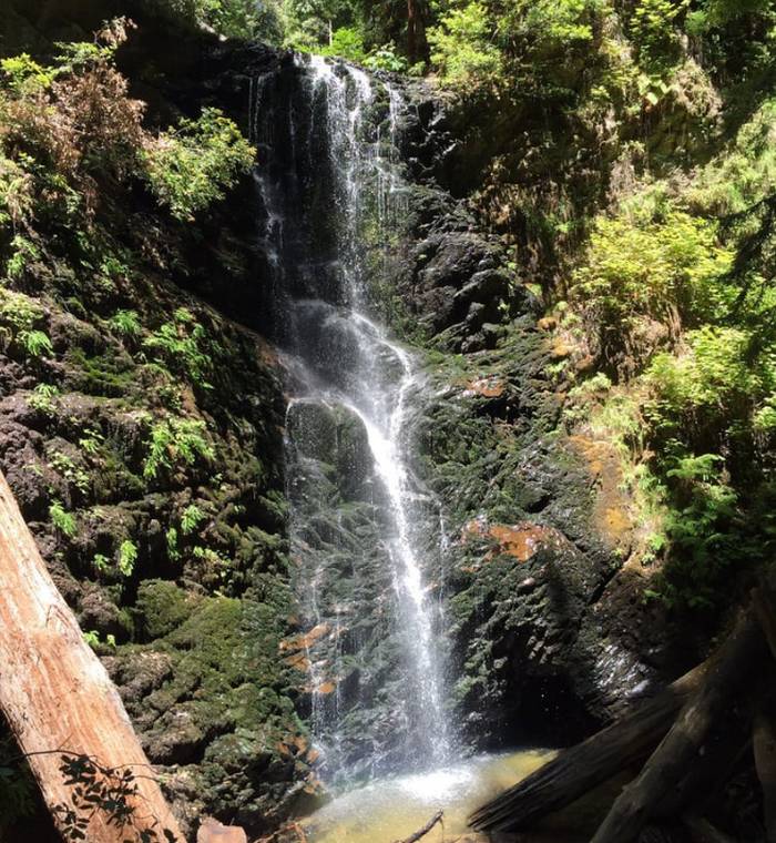 Big Basin Redwoods State Park Berry Creek Falls
