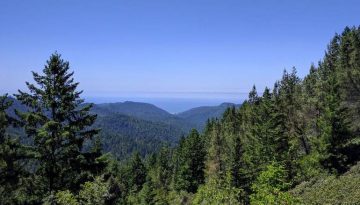 Big Basin Redwoods State Park Day Trip