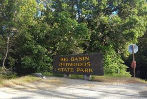 Big Basin Redwoods State Park Day Trip What To Do and See