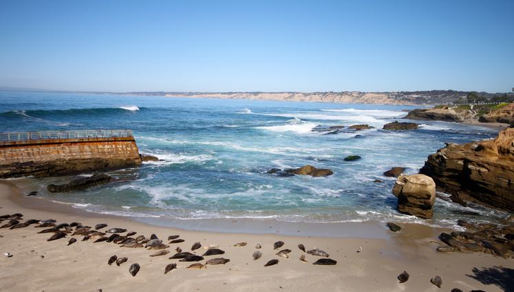 La Jolla Cove San Diego